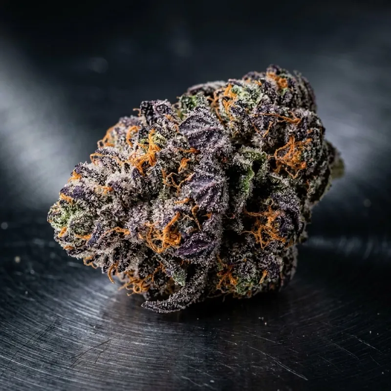 Ботанічна макроілюстрація суцвіття культивару Gelato #41 (Bacio Gelato) (Джелато 41) — морфологія чашечок та трихом