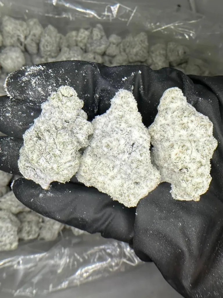 Ботанічна макроілюстрація суцвіття культивару White Truffle (Белый Трюфель (Уайт Трюфель)) — морфологія чашечок та трихом
