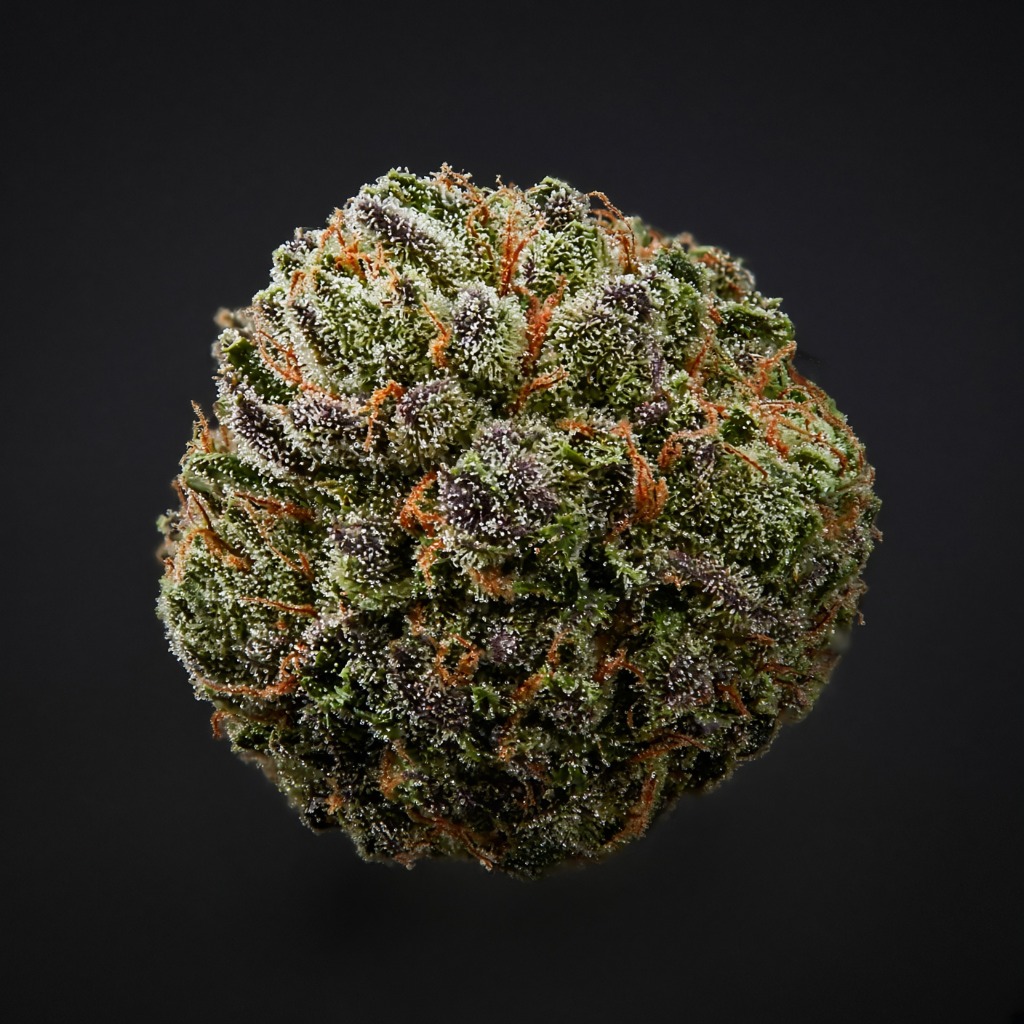 VHQ Bud 1